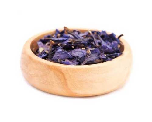 گیاه گل گاو زبان