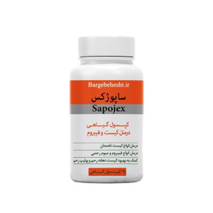 ساپوژکس